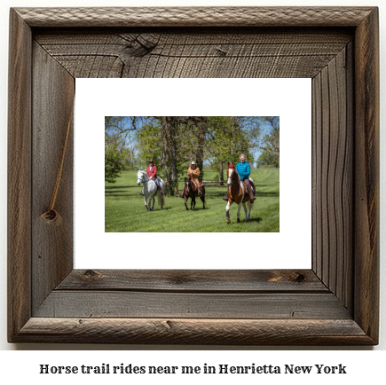 horse trail rides near me in Henrietta, New York